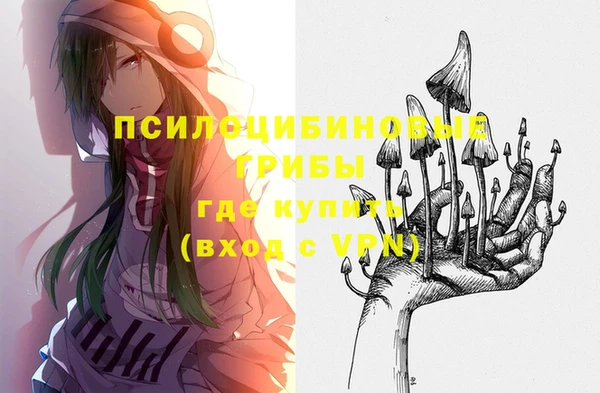 марки lsd Вяземский