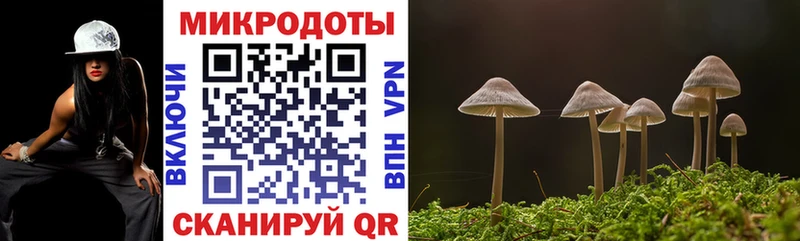 Псилоцибиновые грибы Psilocybine cubensis  Заречный 