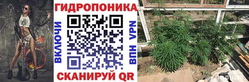 наркотики  Заречный  Шишки марихуана планчик 